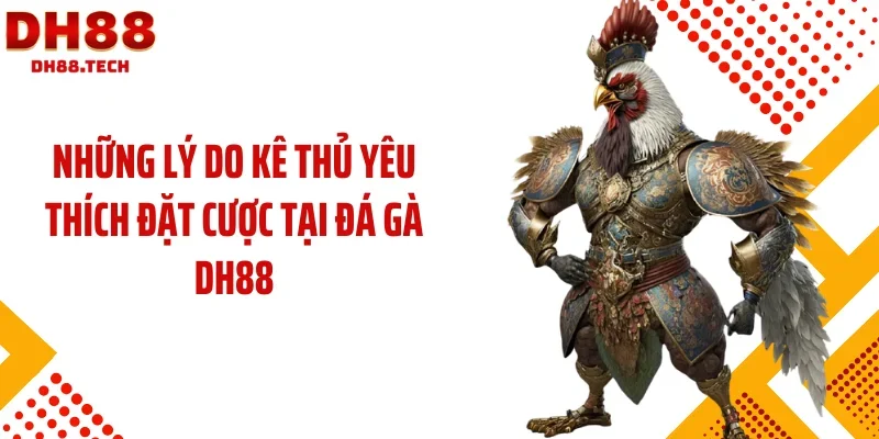 Những lý do kê thủ yêu thích đặt cược tại đá gà DH88