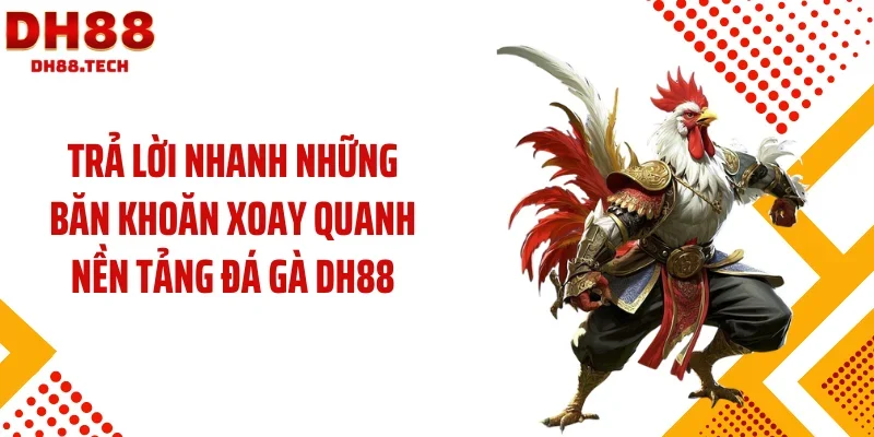 Trả lời nhanh những băn khoăn xoay quanh nền tảng đá gà DH88